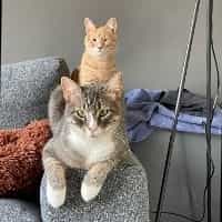 Skyler( in front) and Curry