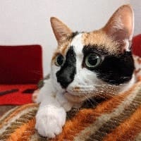 Kira