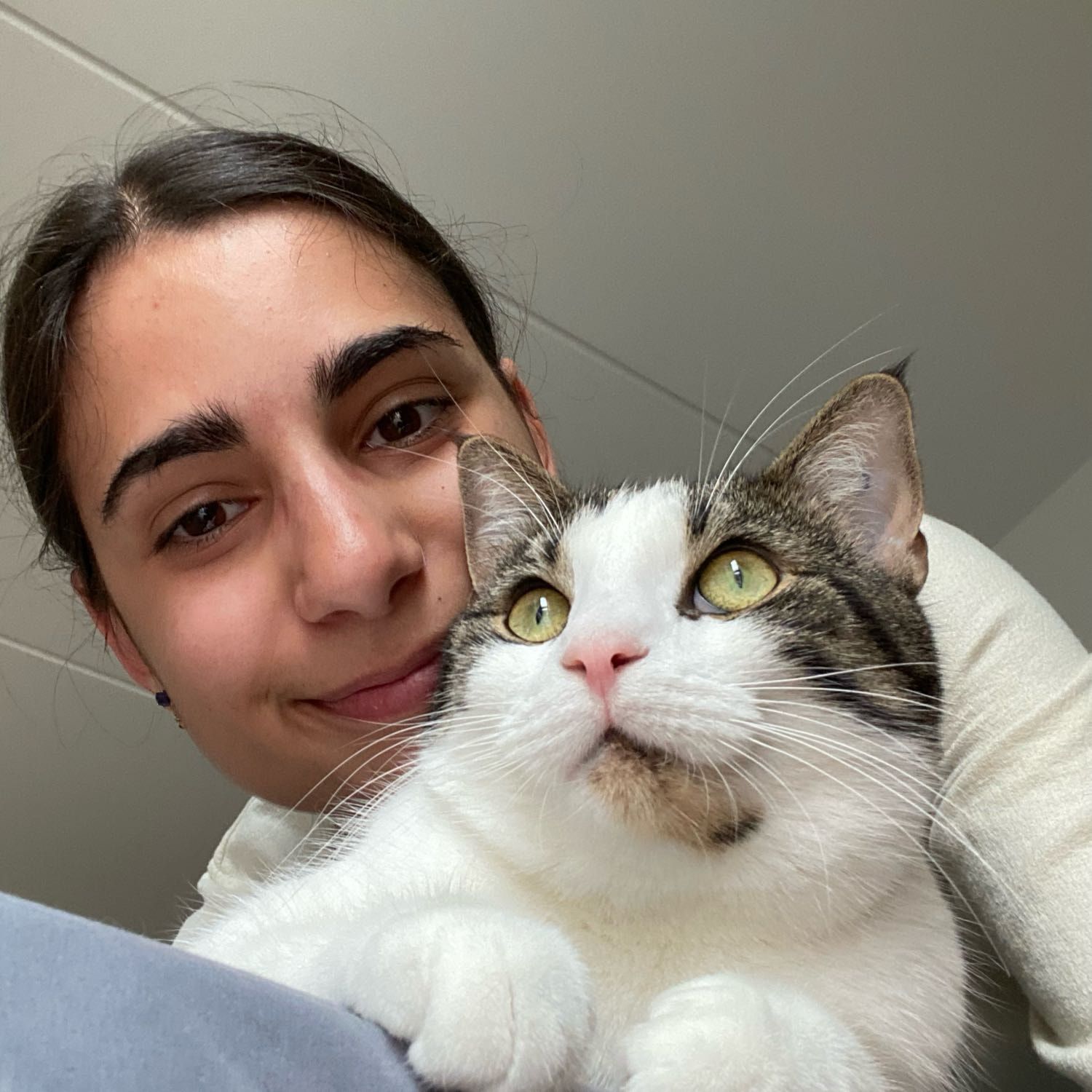Catarina