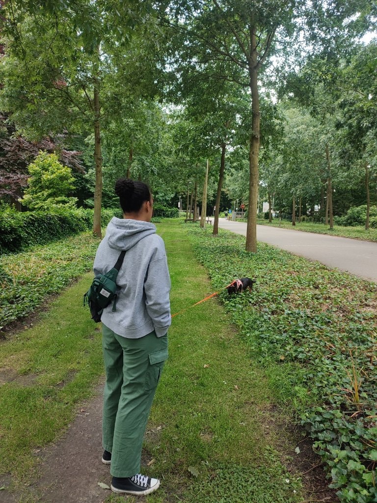 image-16