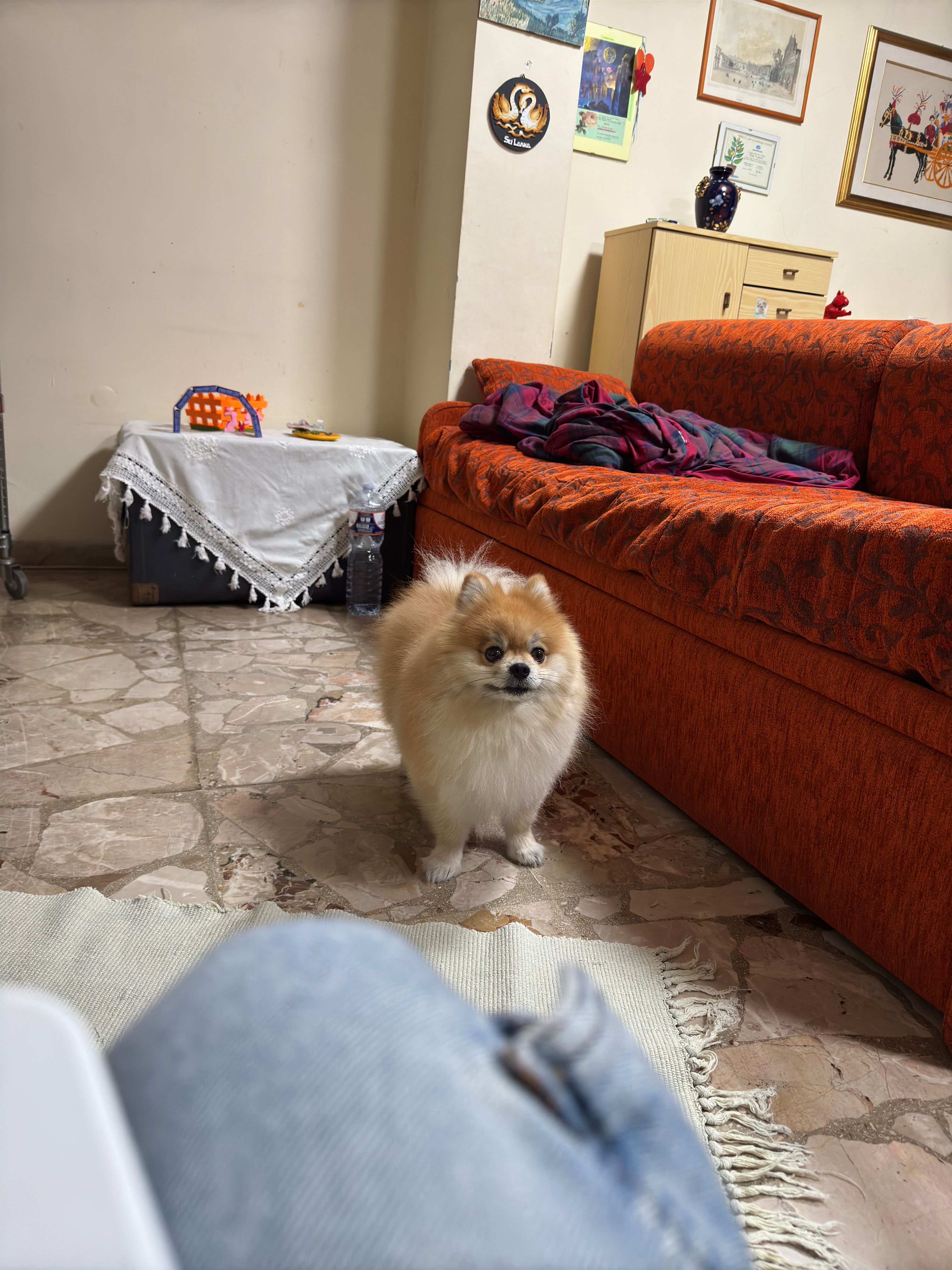 image-16