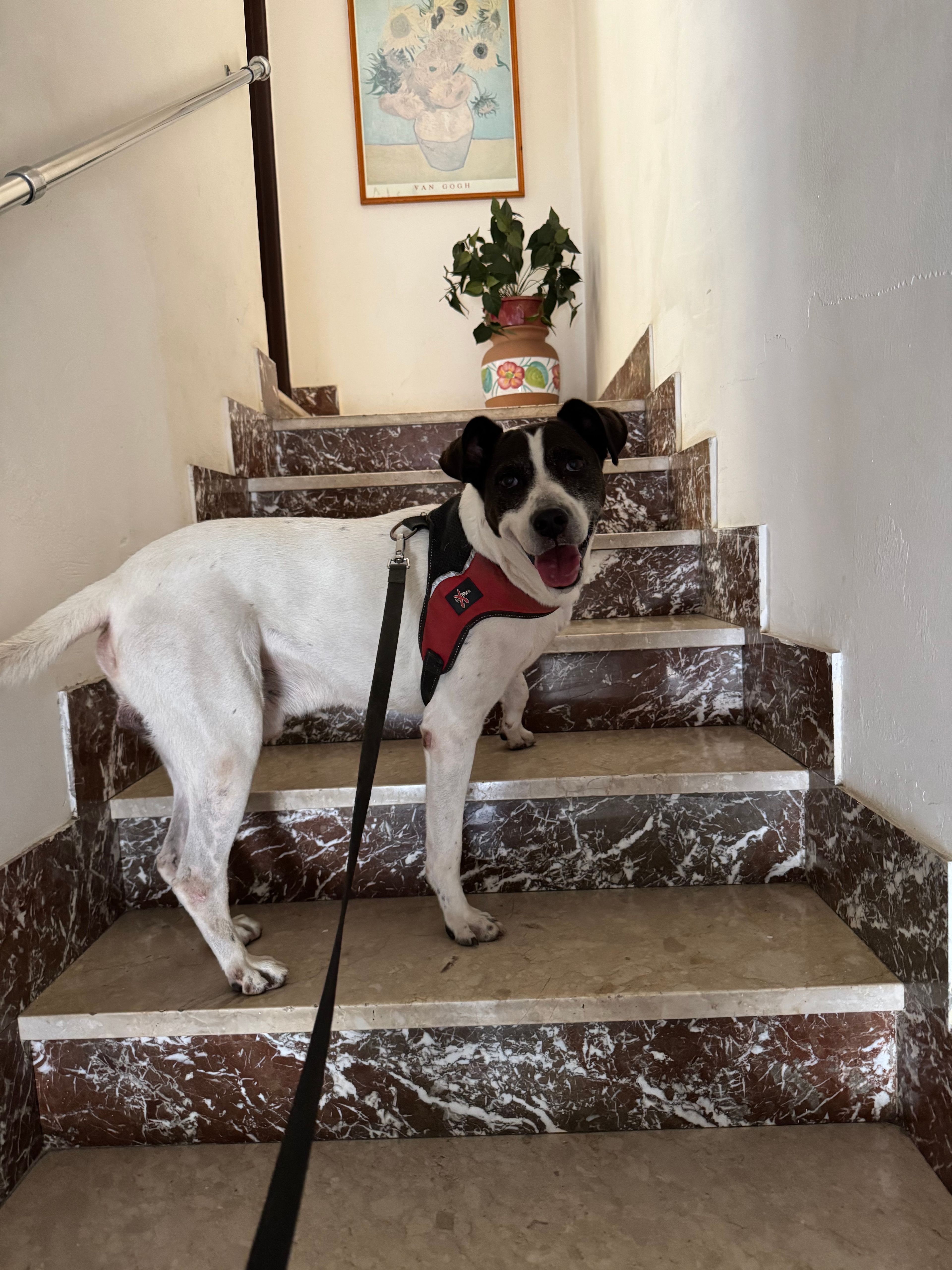 image-10