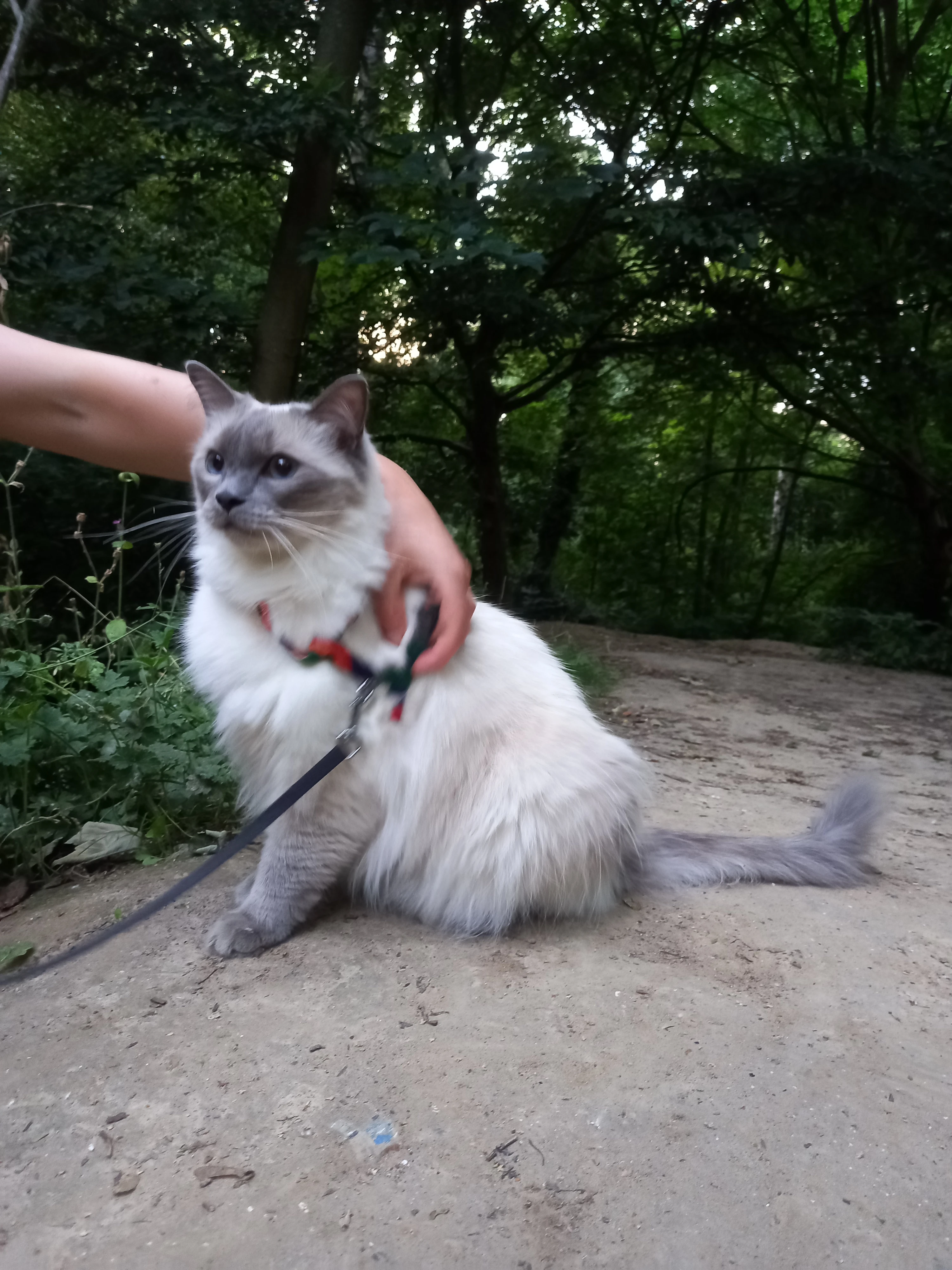 image-8