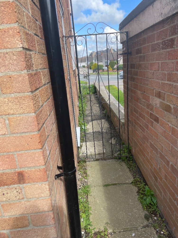 image-9