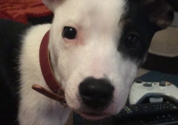 Molly