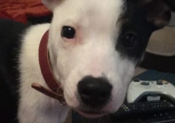 Molly