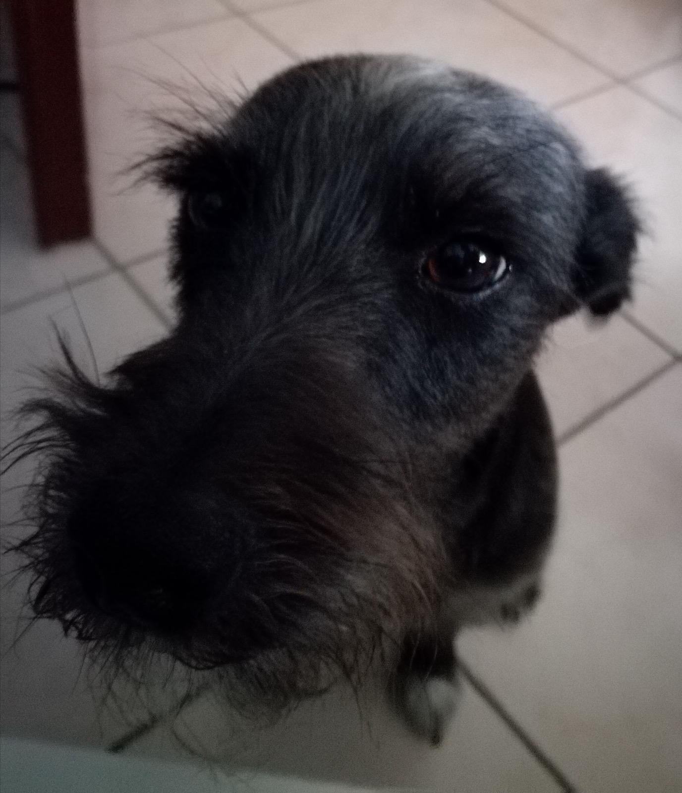 image-5