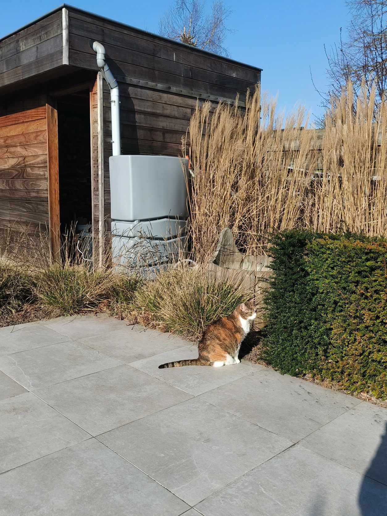 image-8