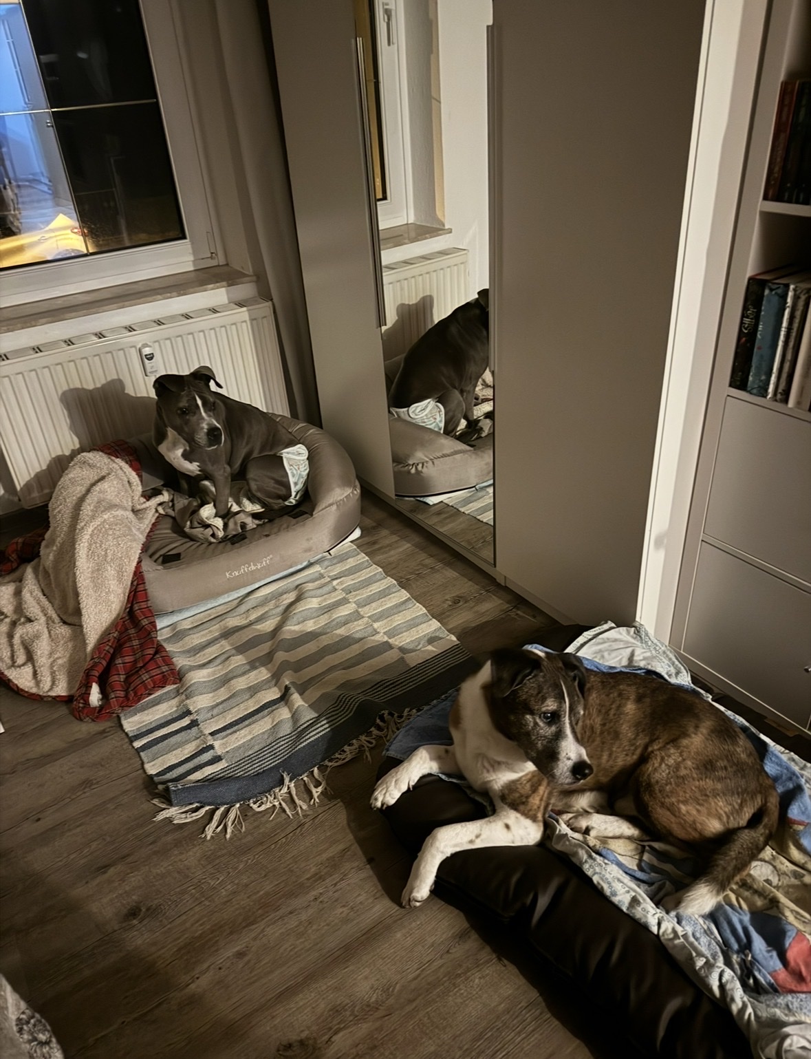 image-10