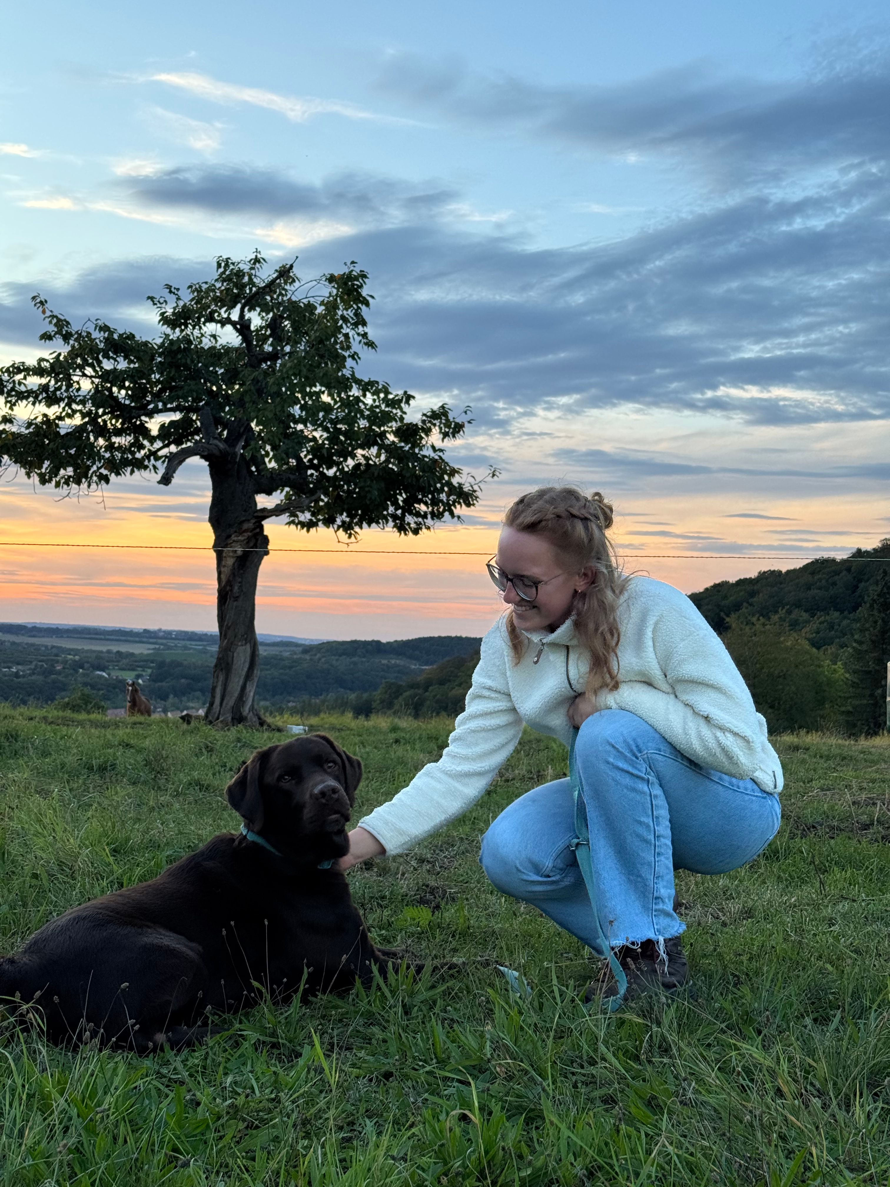 image-8