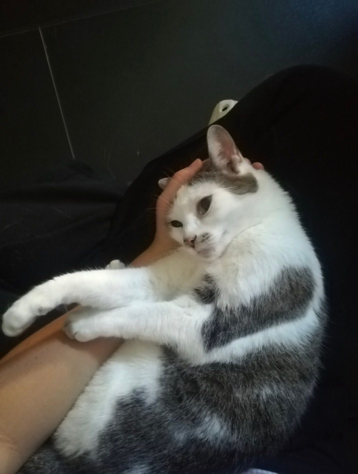 image-8