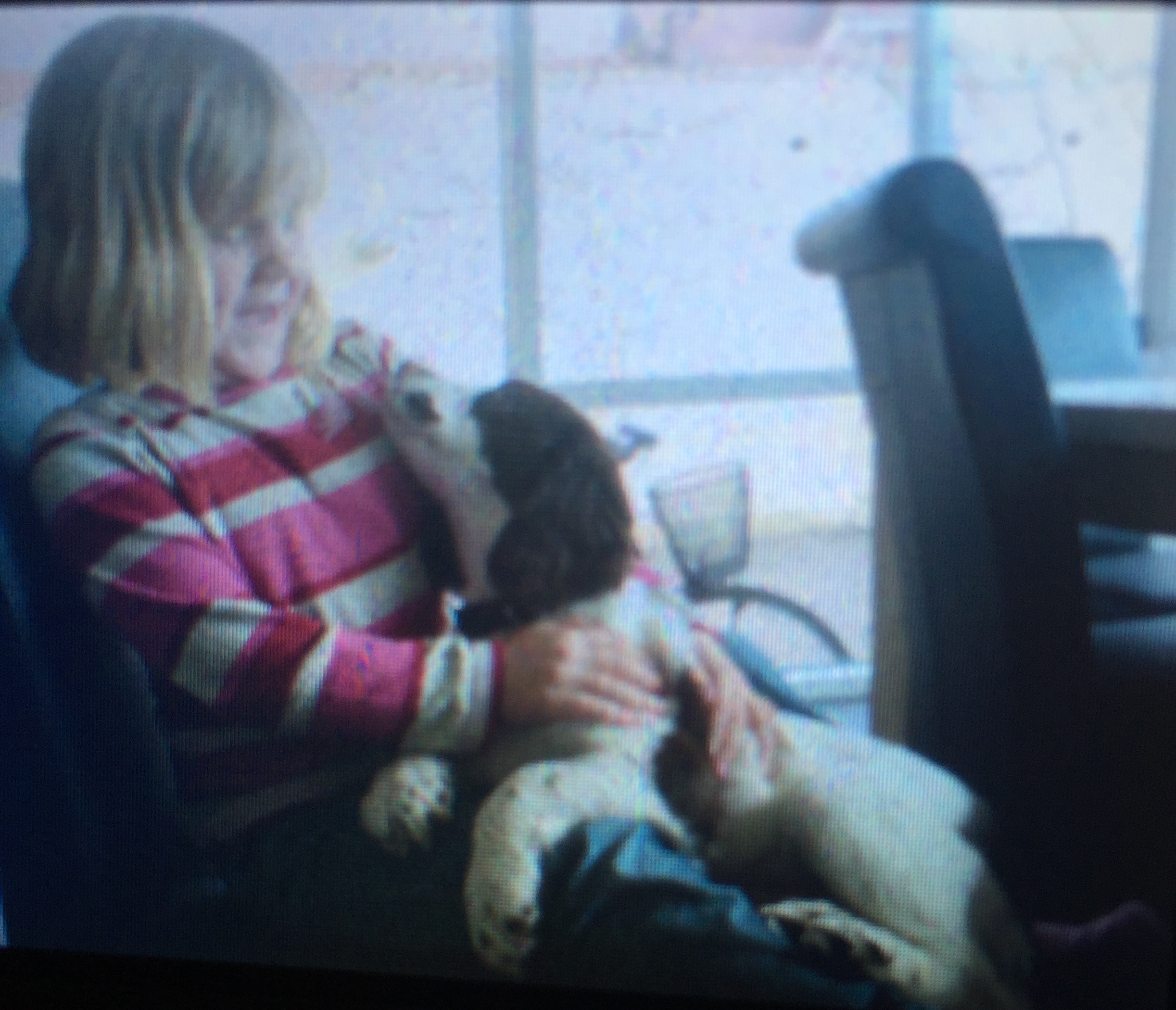 image-5