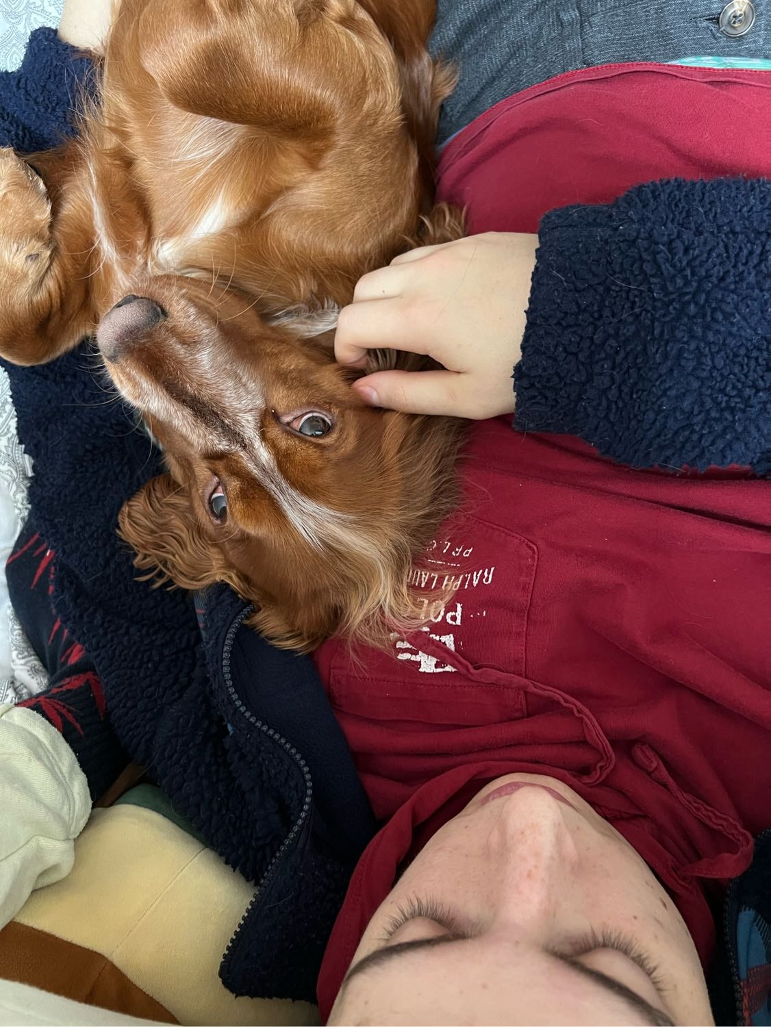 image-8