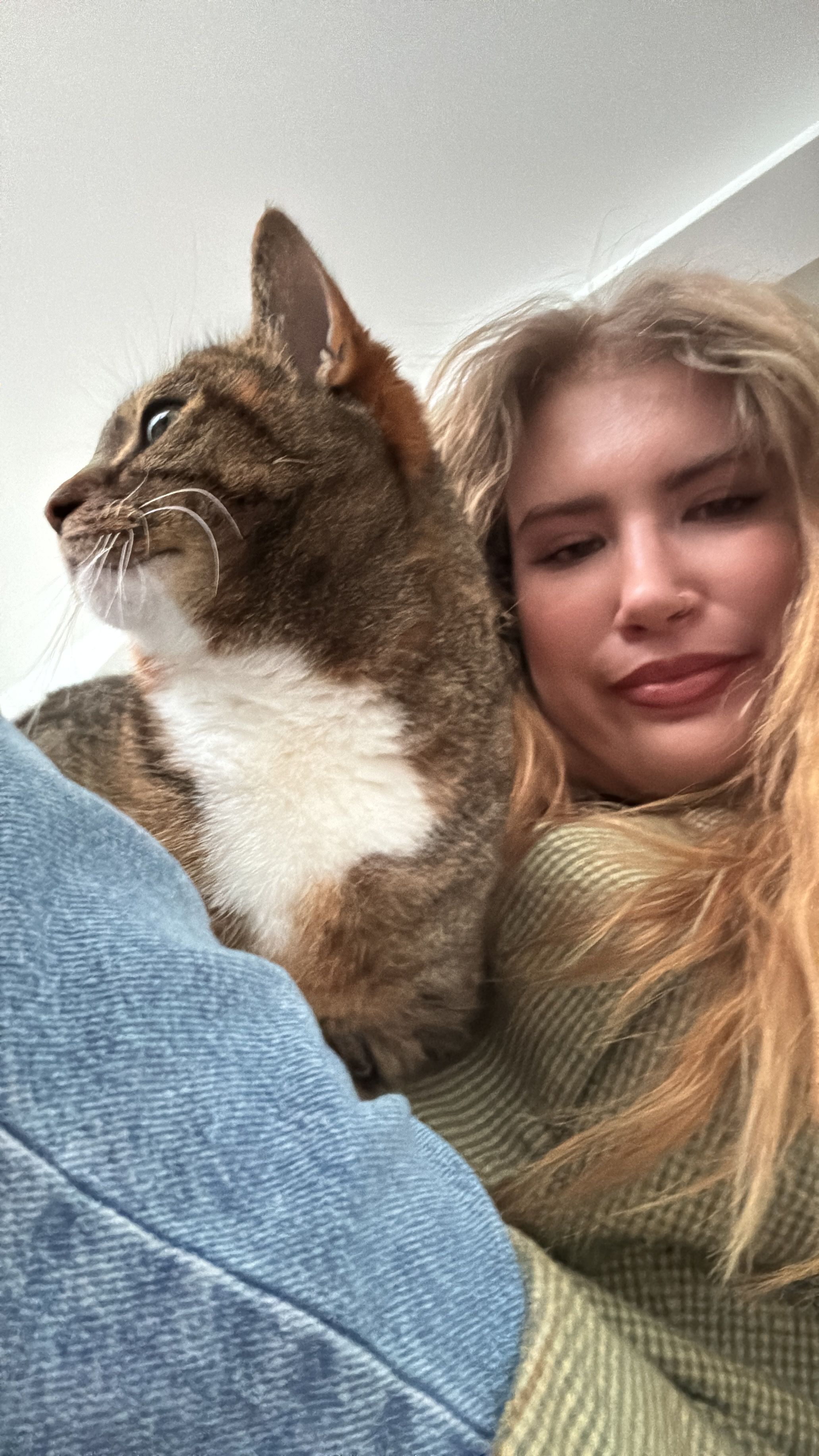 image-6