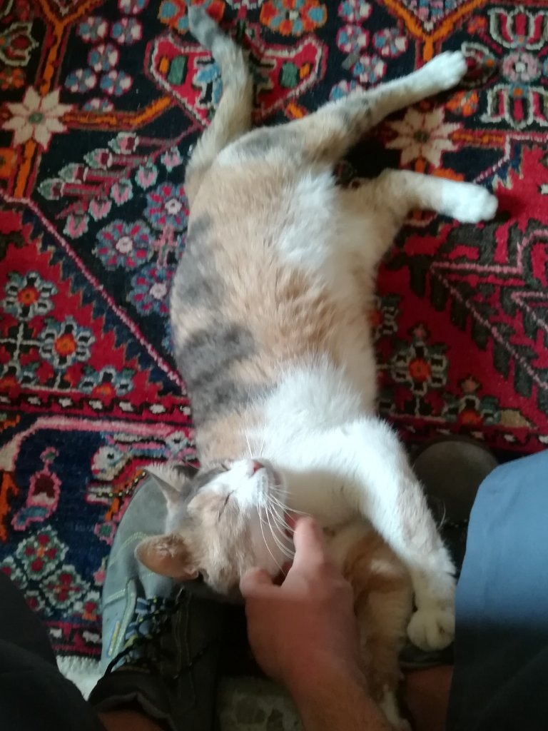 image-4