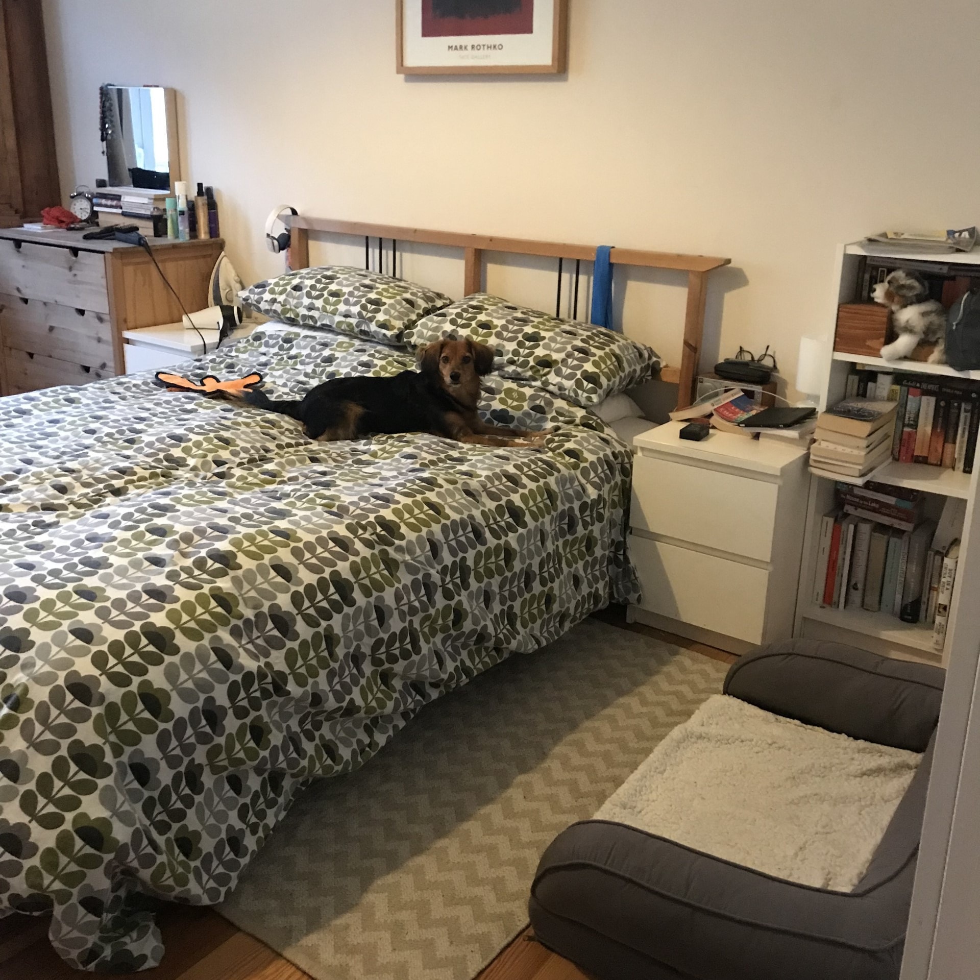 image-6