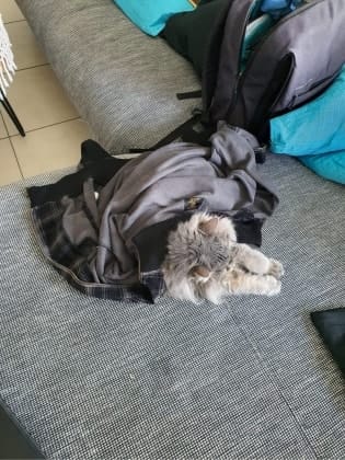 image-8