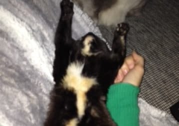 Minnie