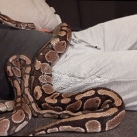 Balt, Vanilla, James, Brownie en Fanta