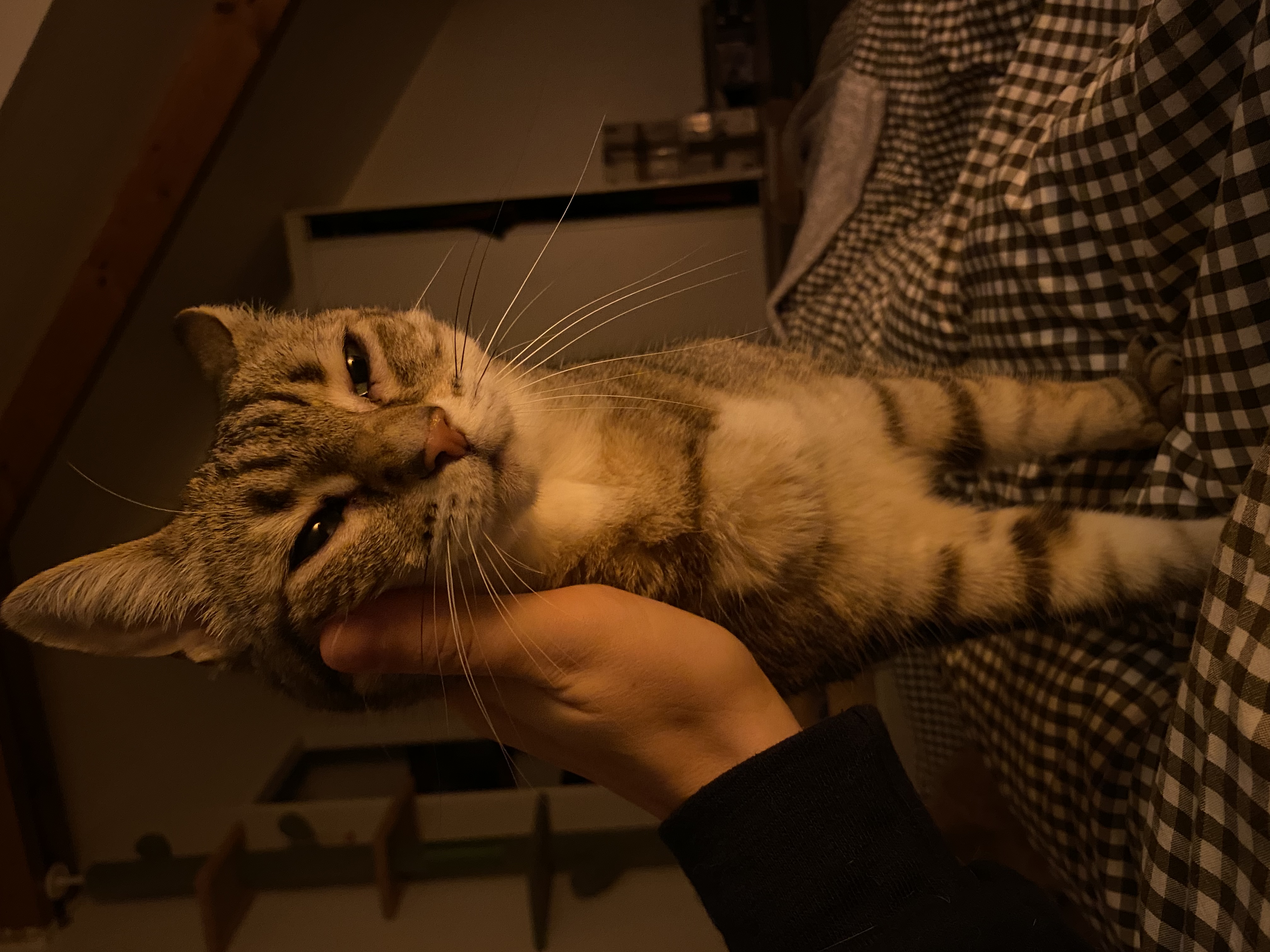 image-6