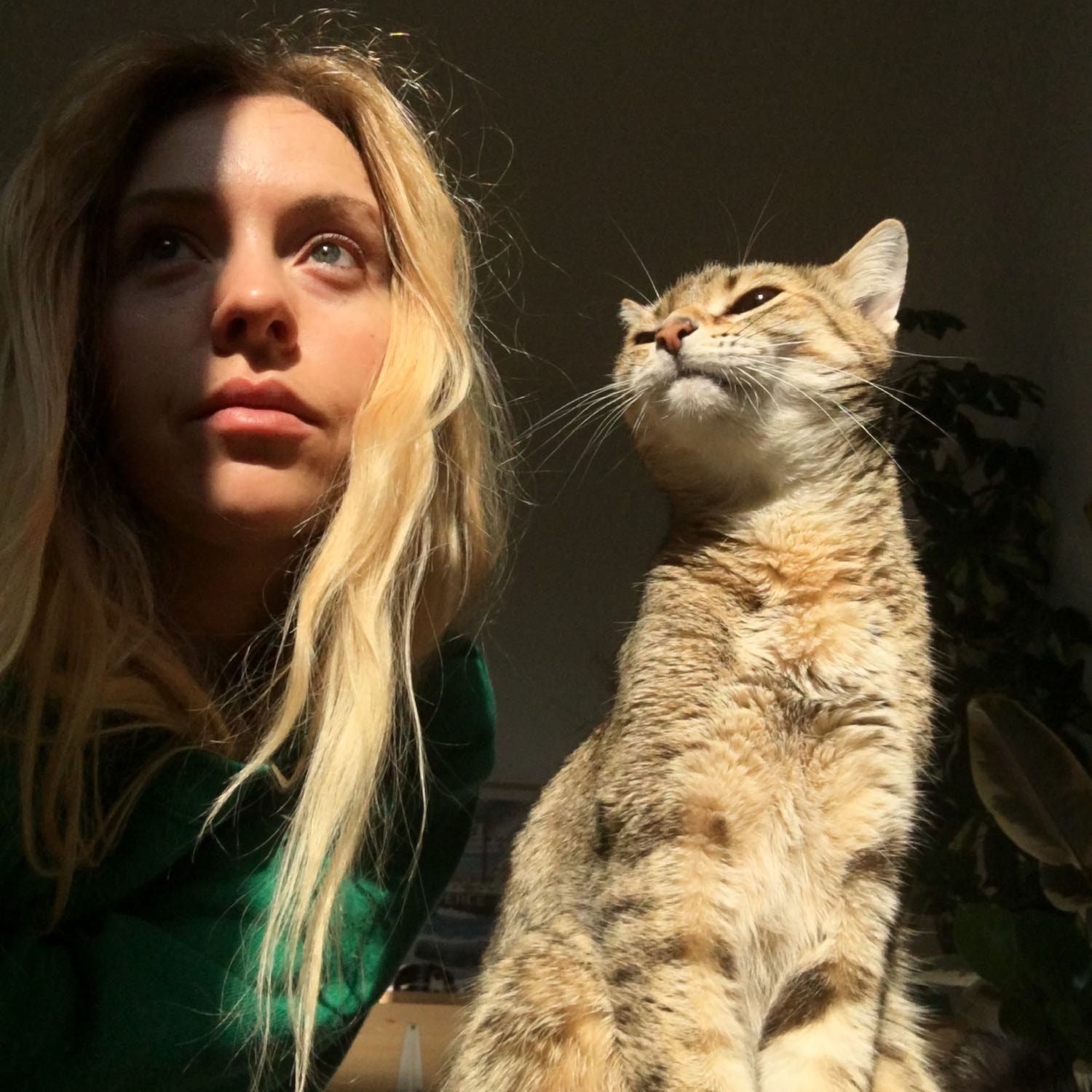 Stella
