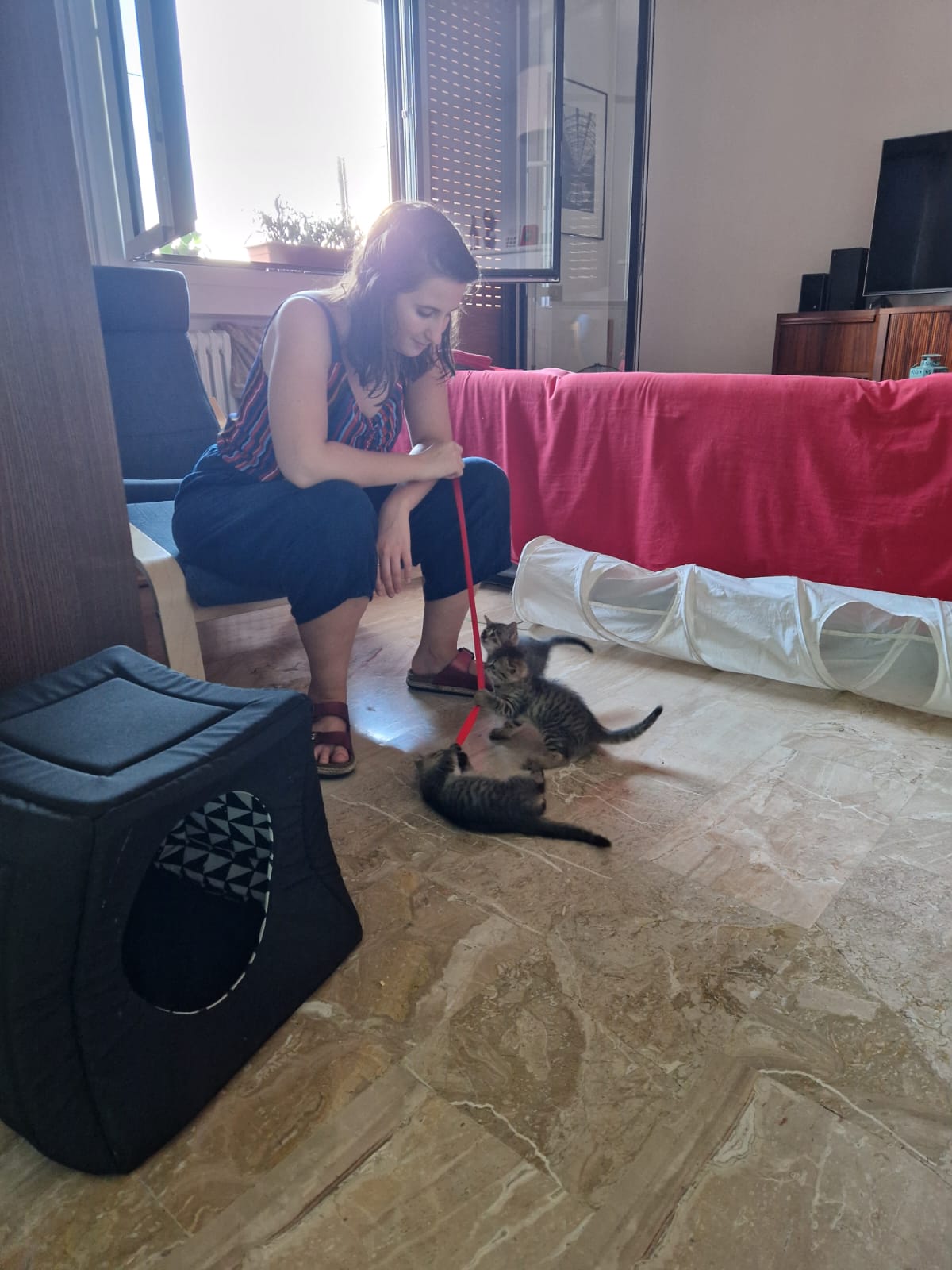 image-7