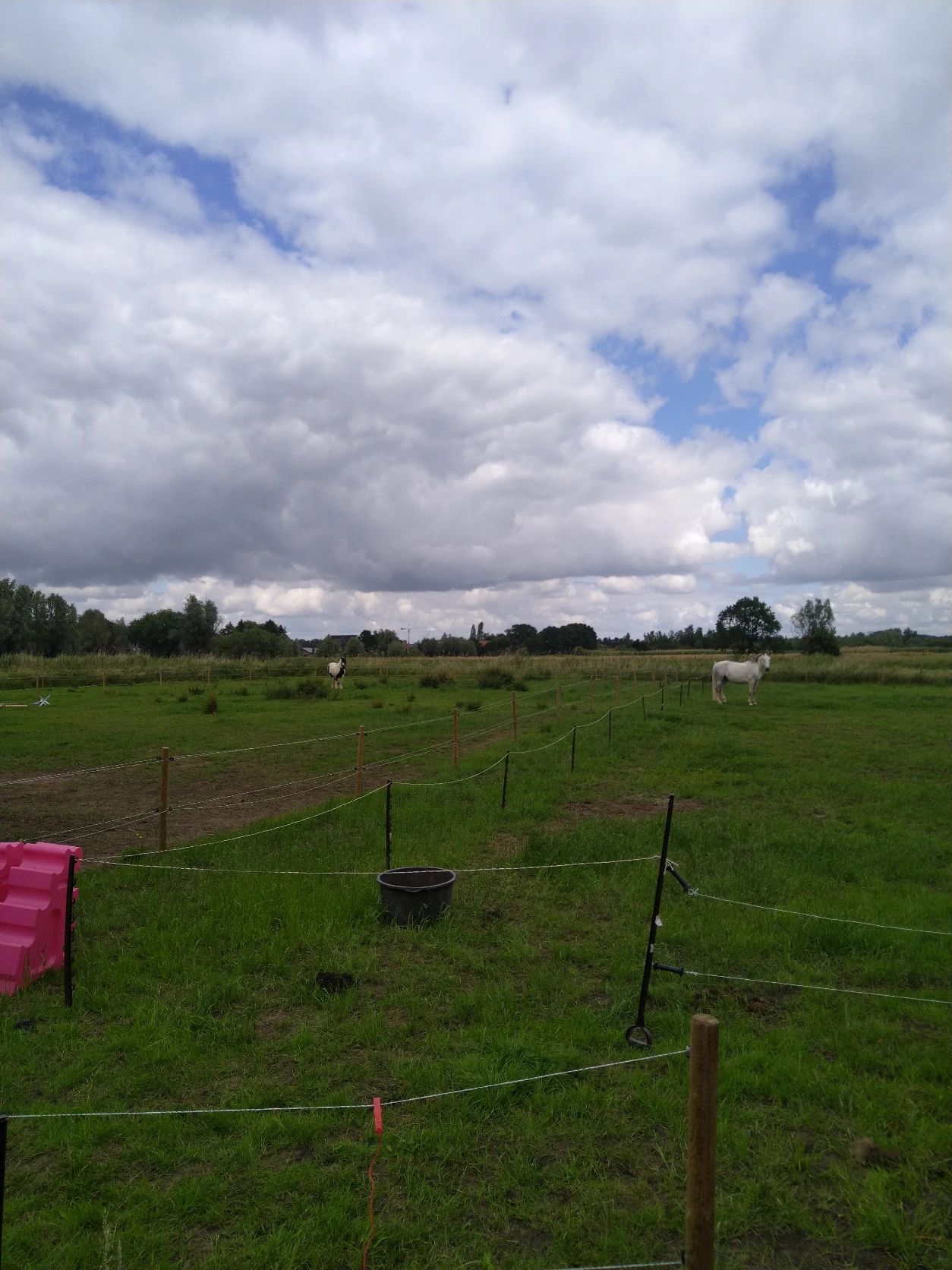 image-19