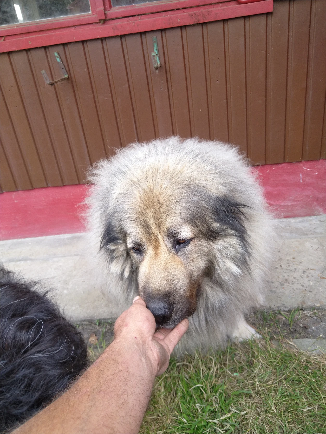 image-4