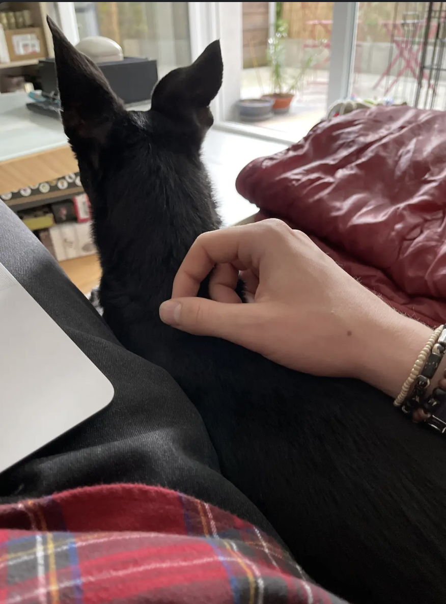 image-8