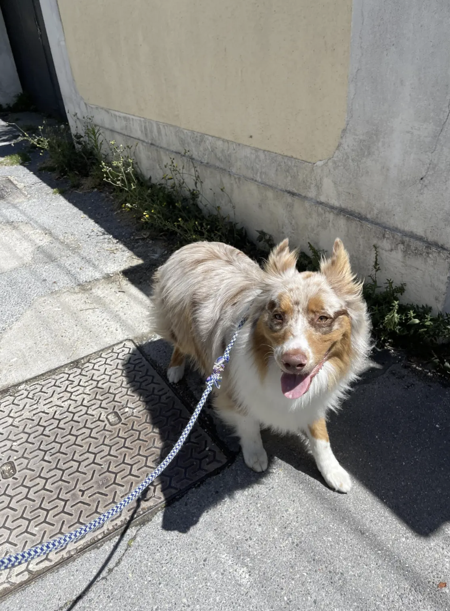 image-5