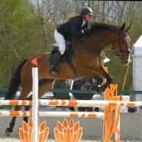 Quite Victorius VD Leeuwkant