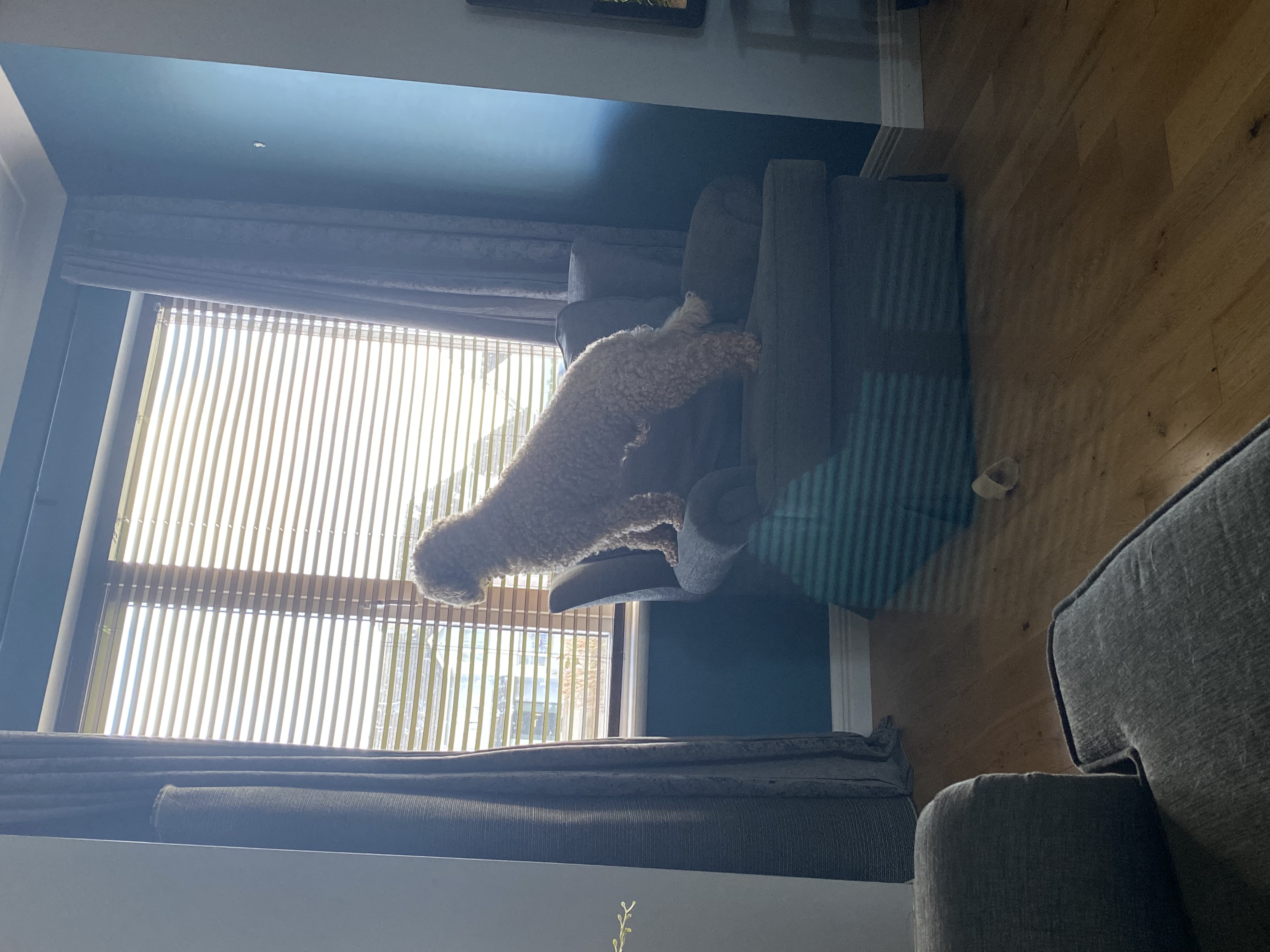 image-8