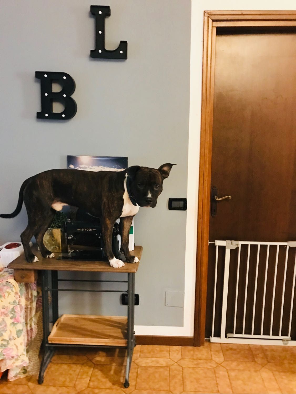 image-13