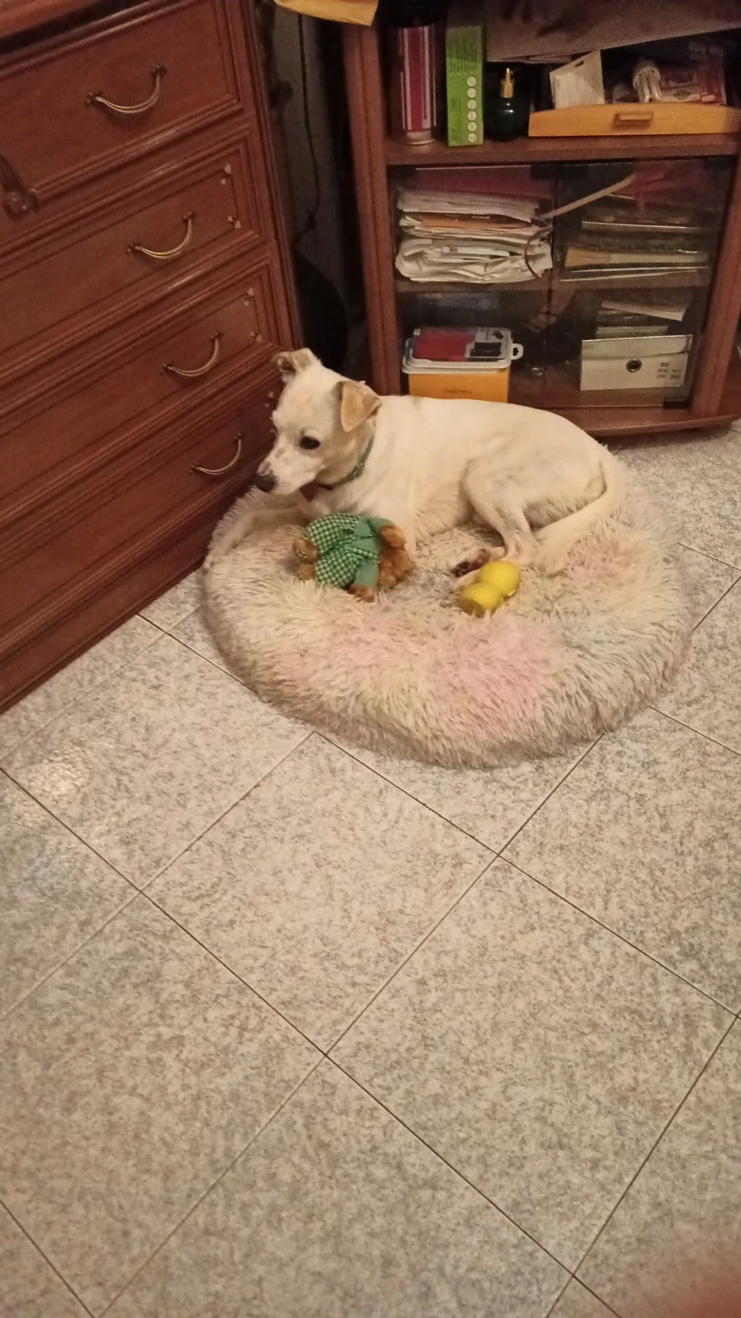image-7
