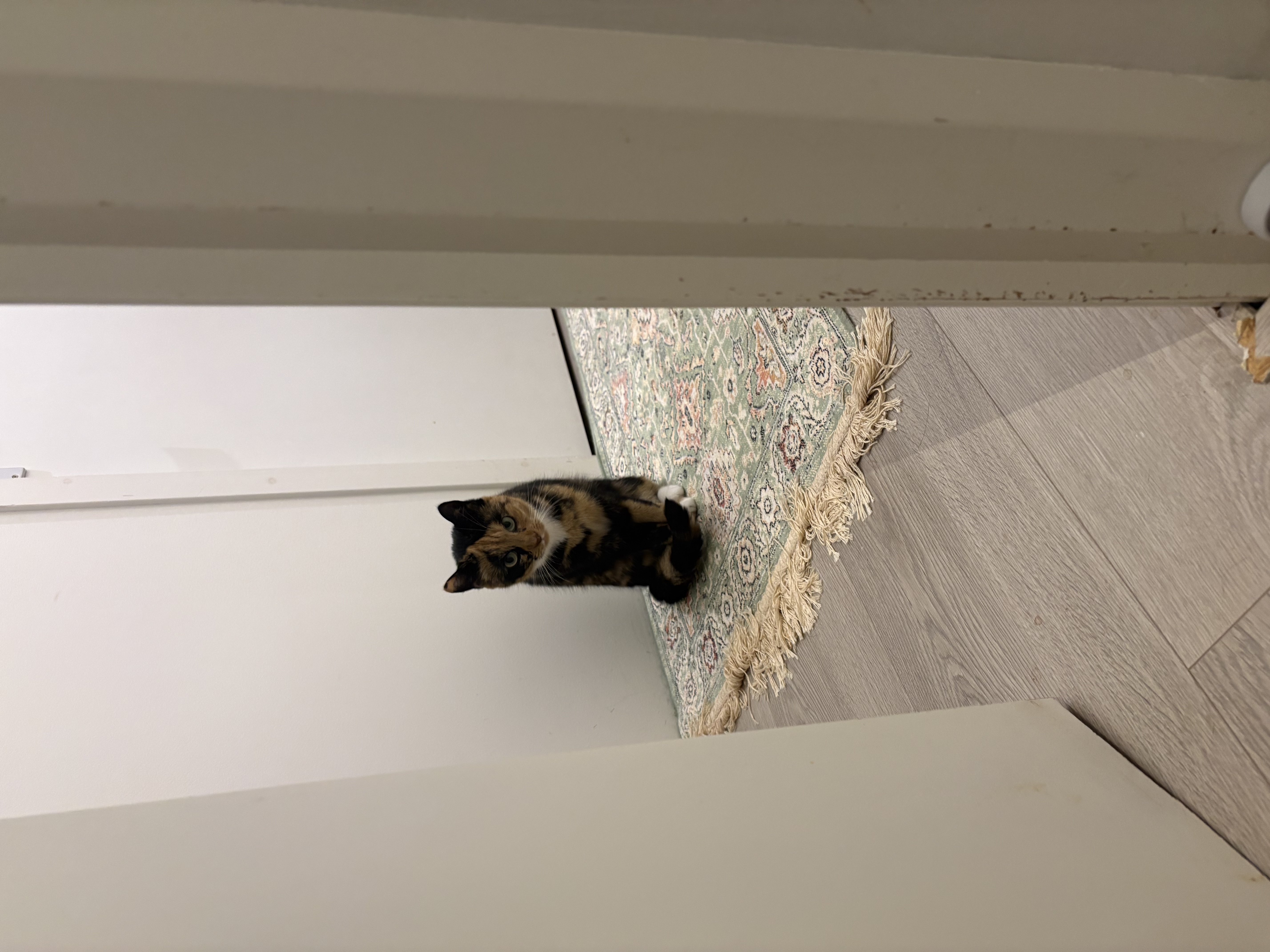 image-13