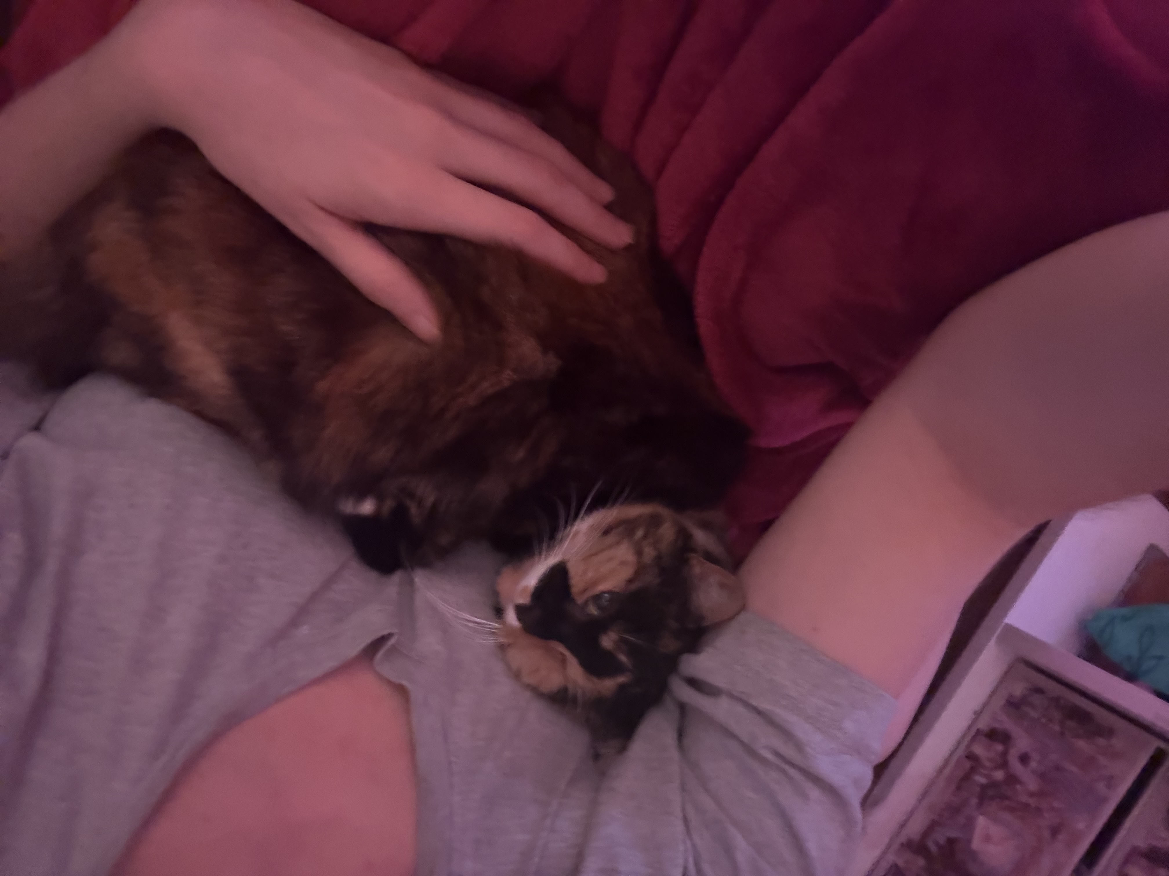 image-8