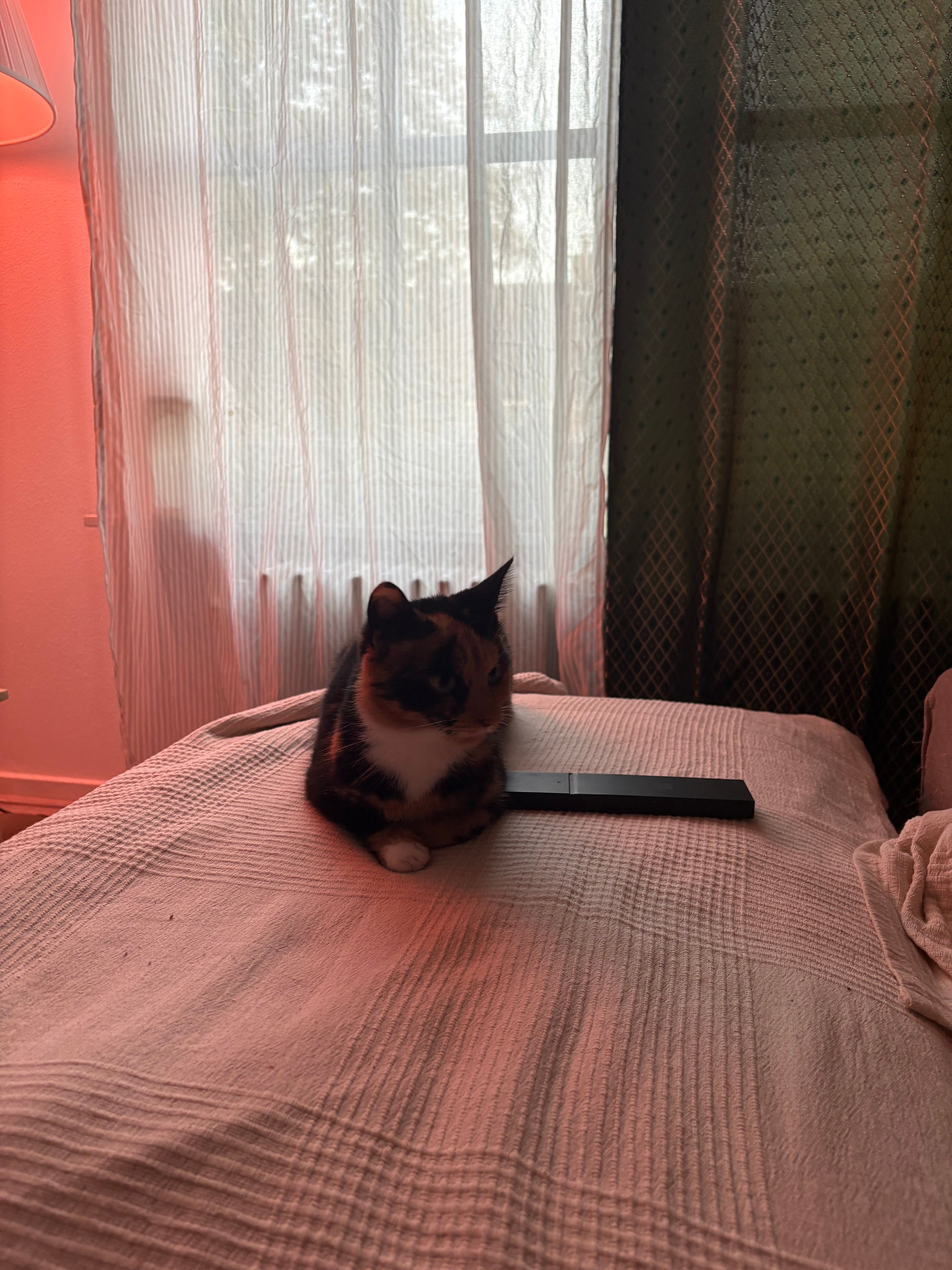 image-14