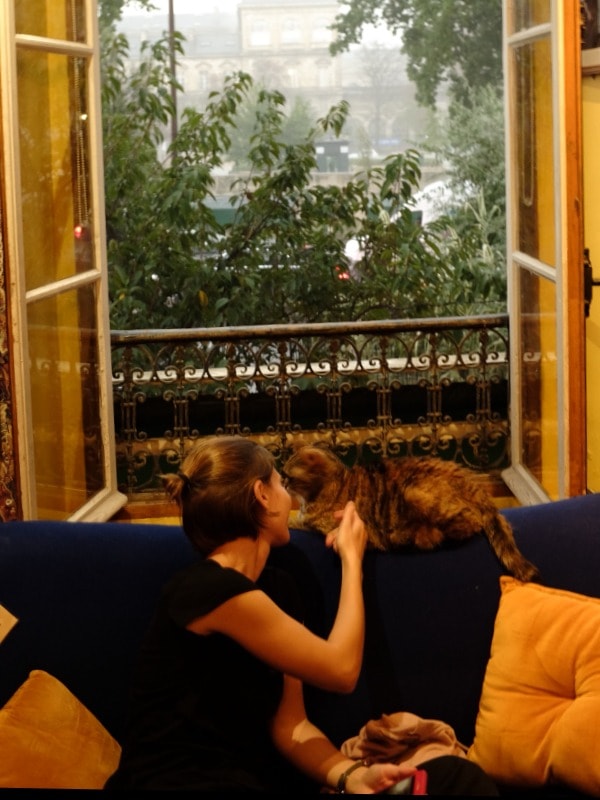 image-4
