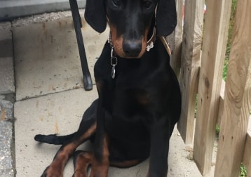 Deano 