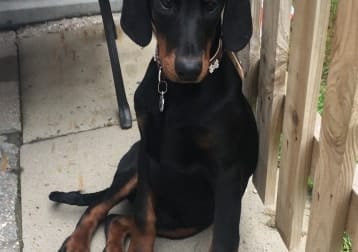 Deano