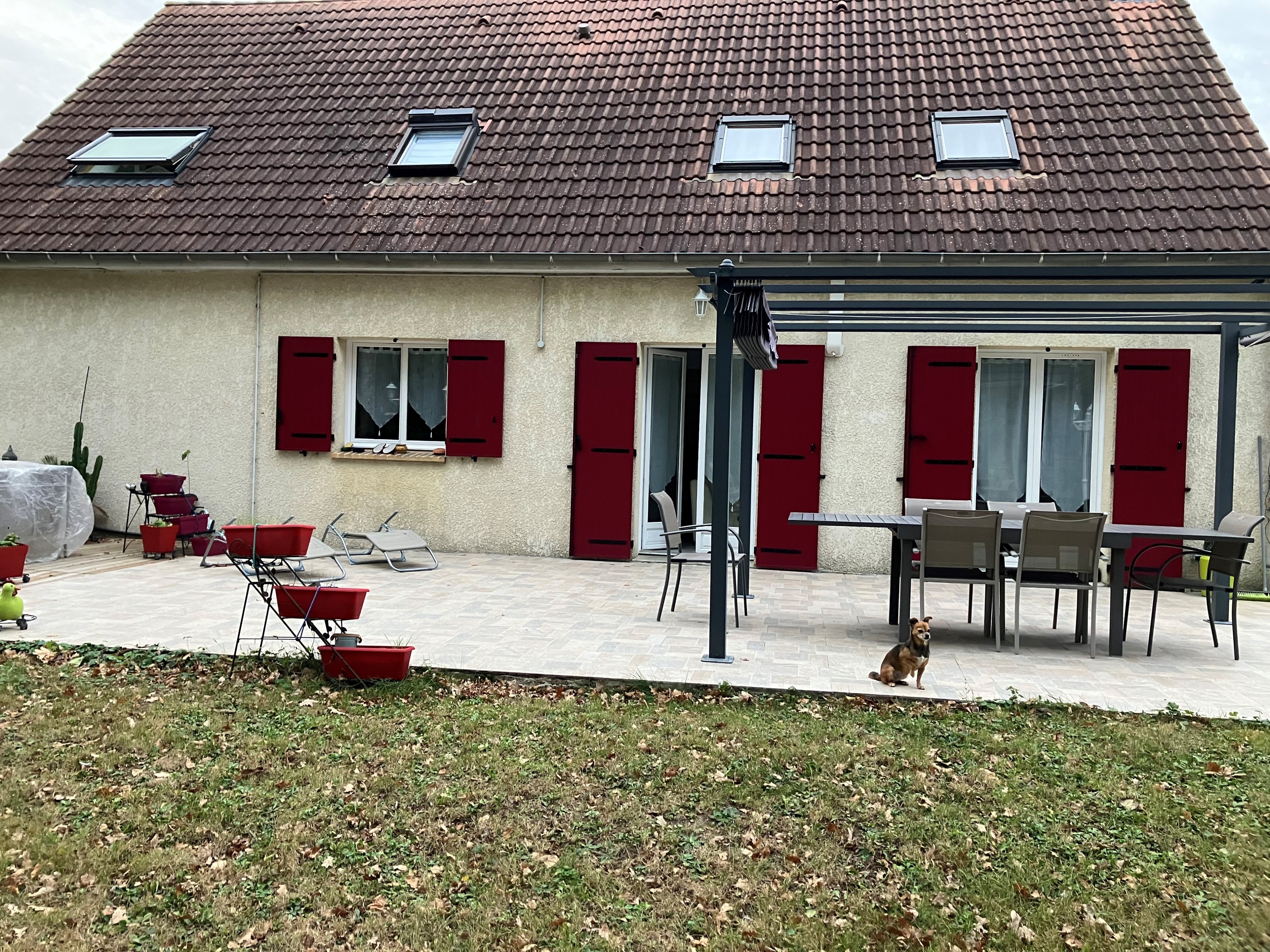 image-6