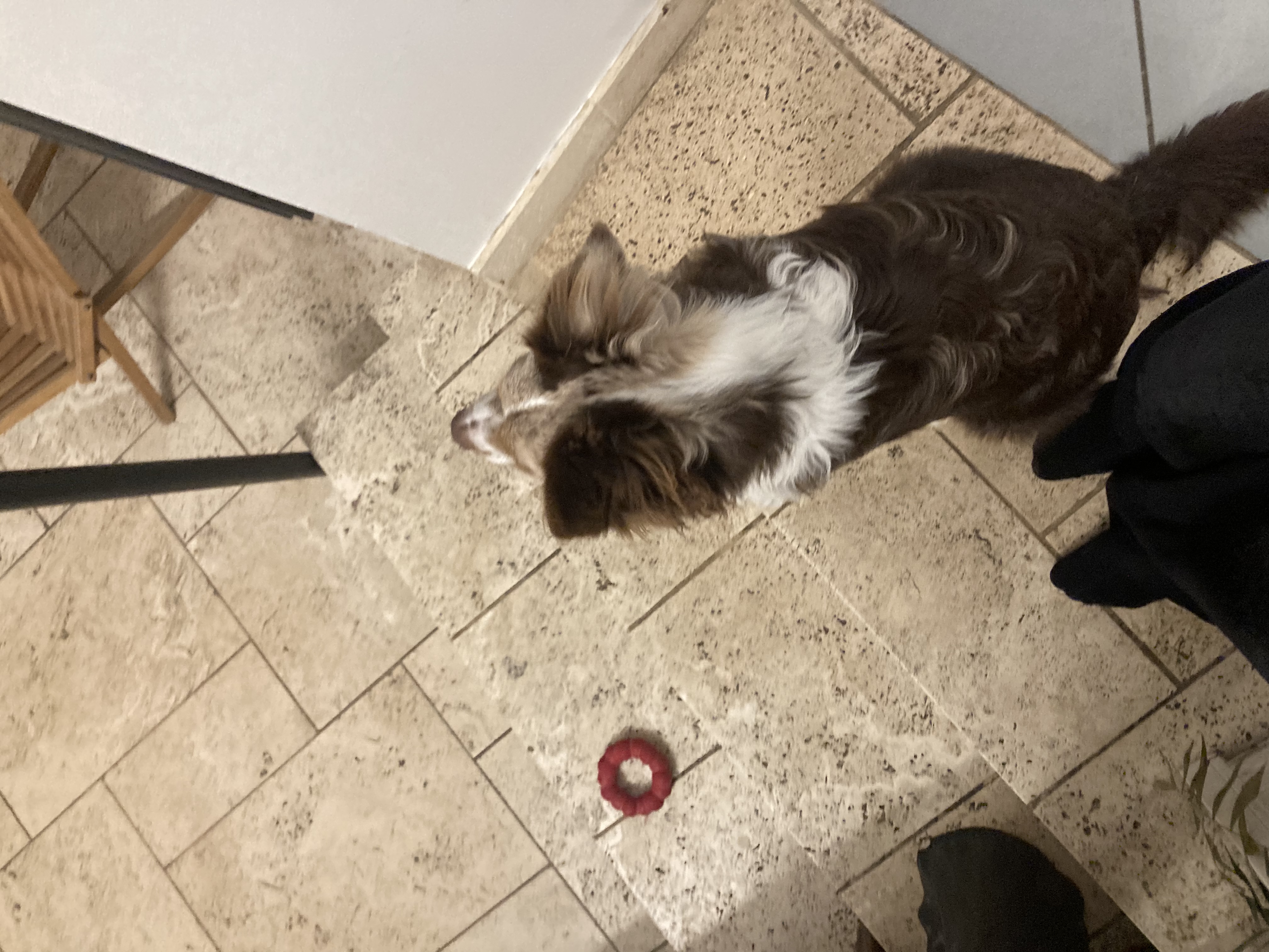 image-7