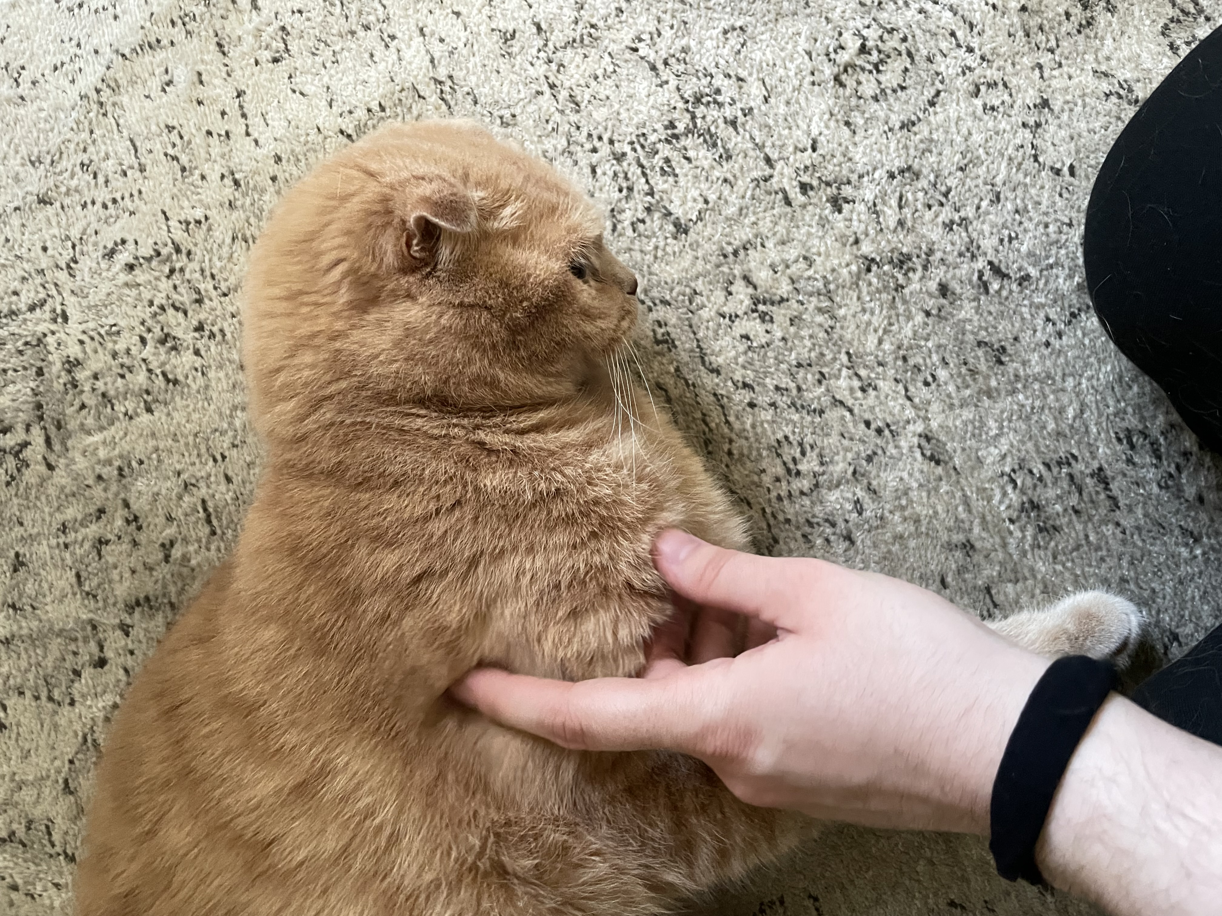 image-6