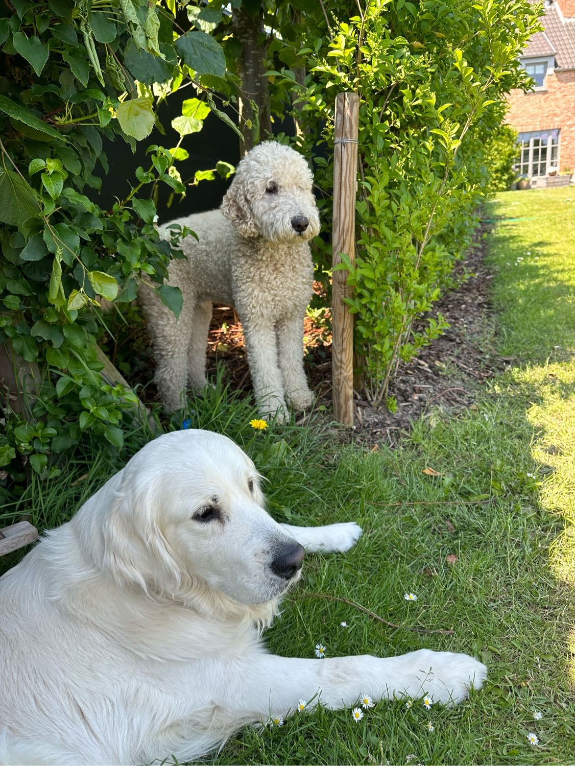 image-35
