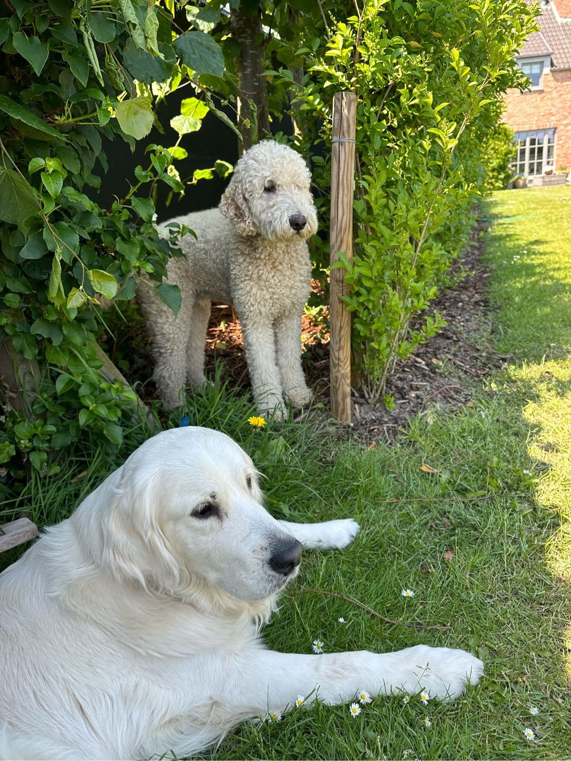 image-35