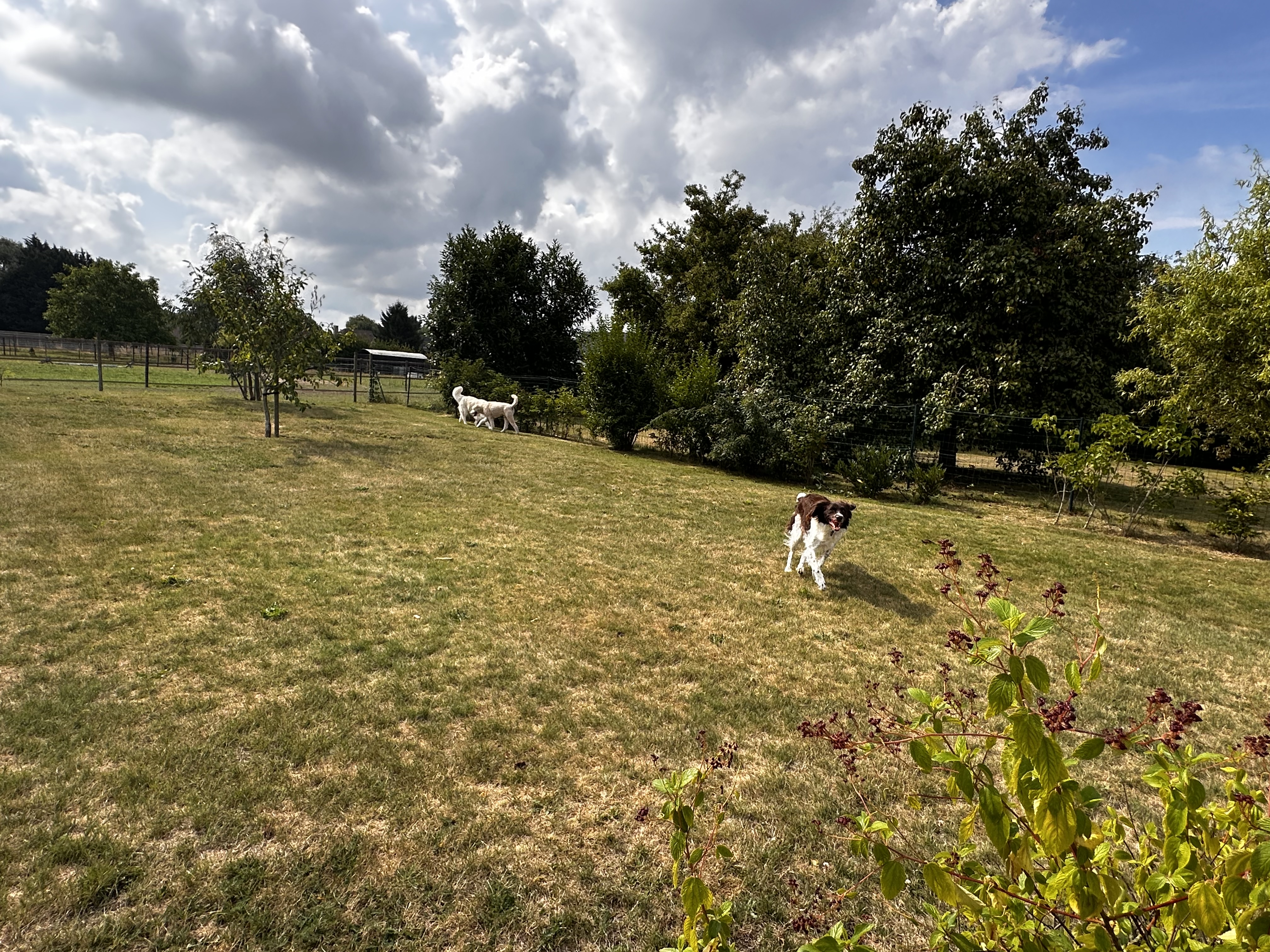 image-41