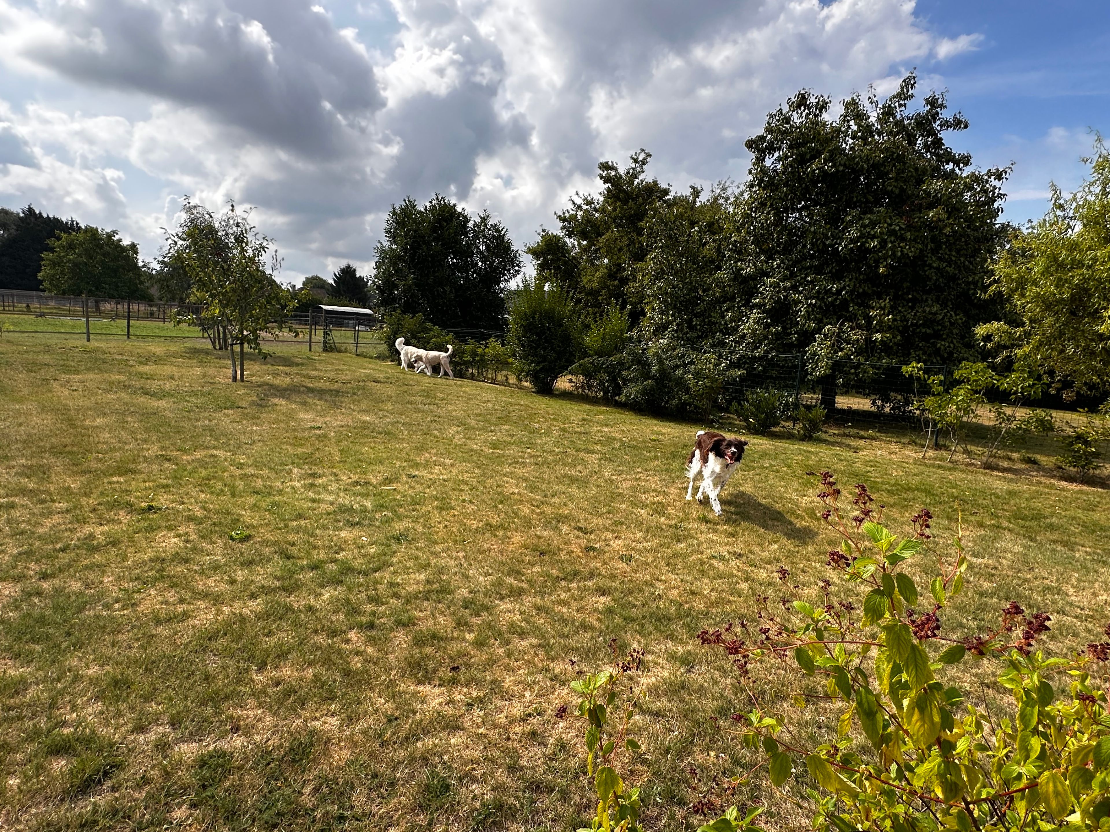 image-41