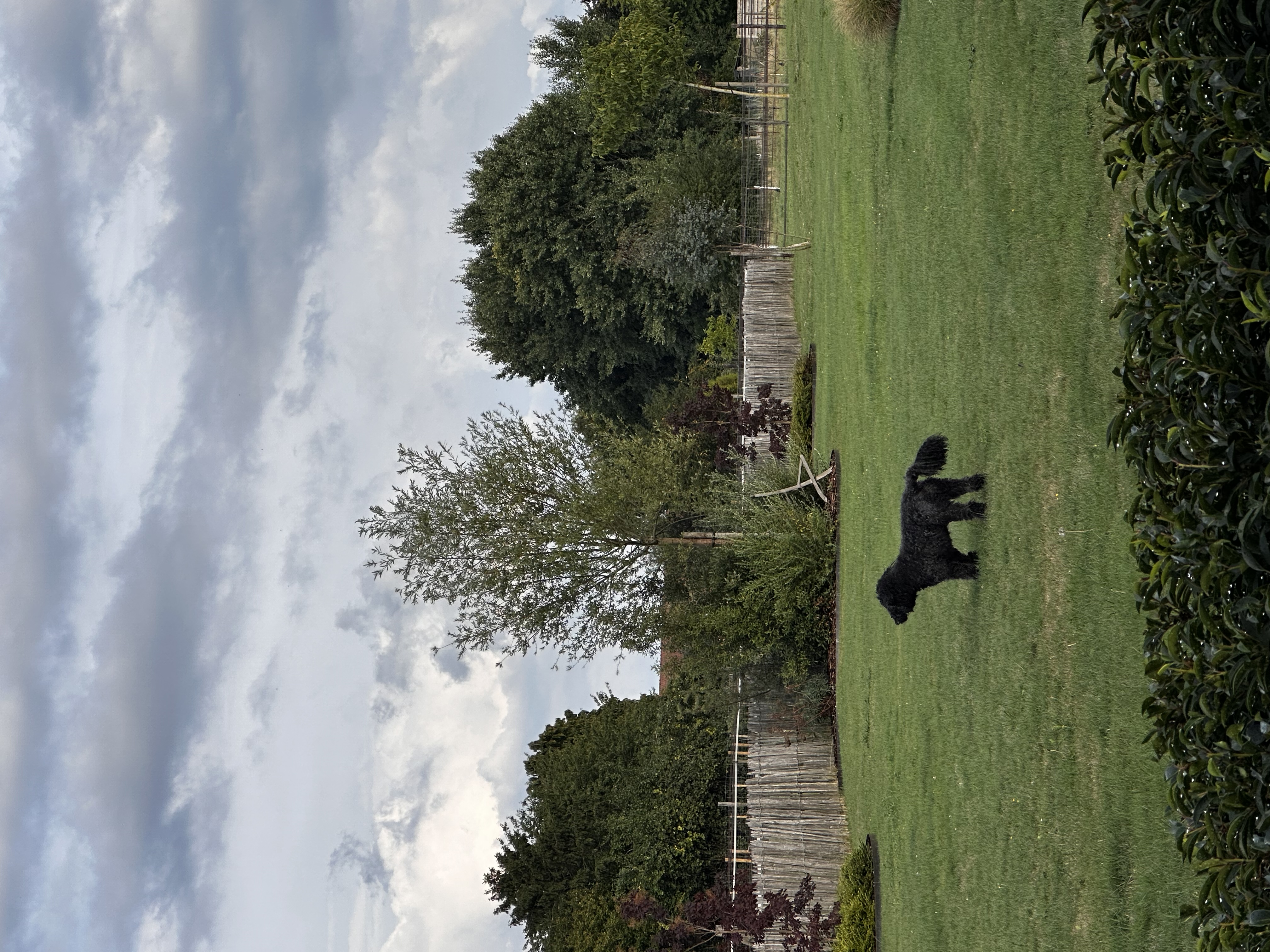 image-43