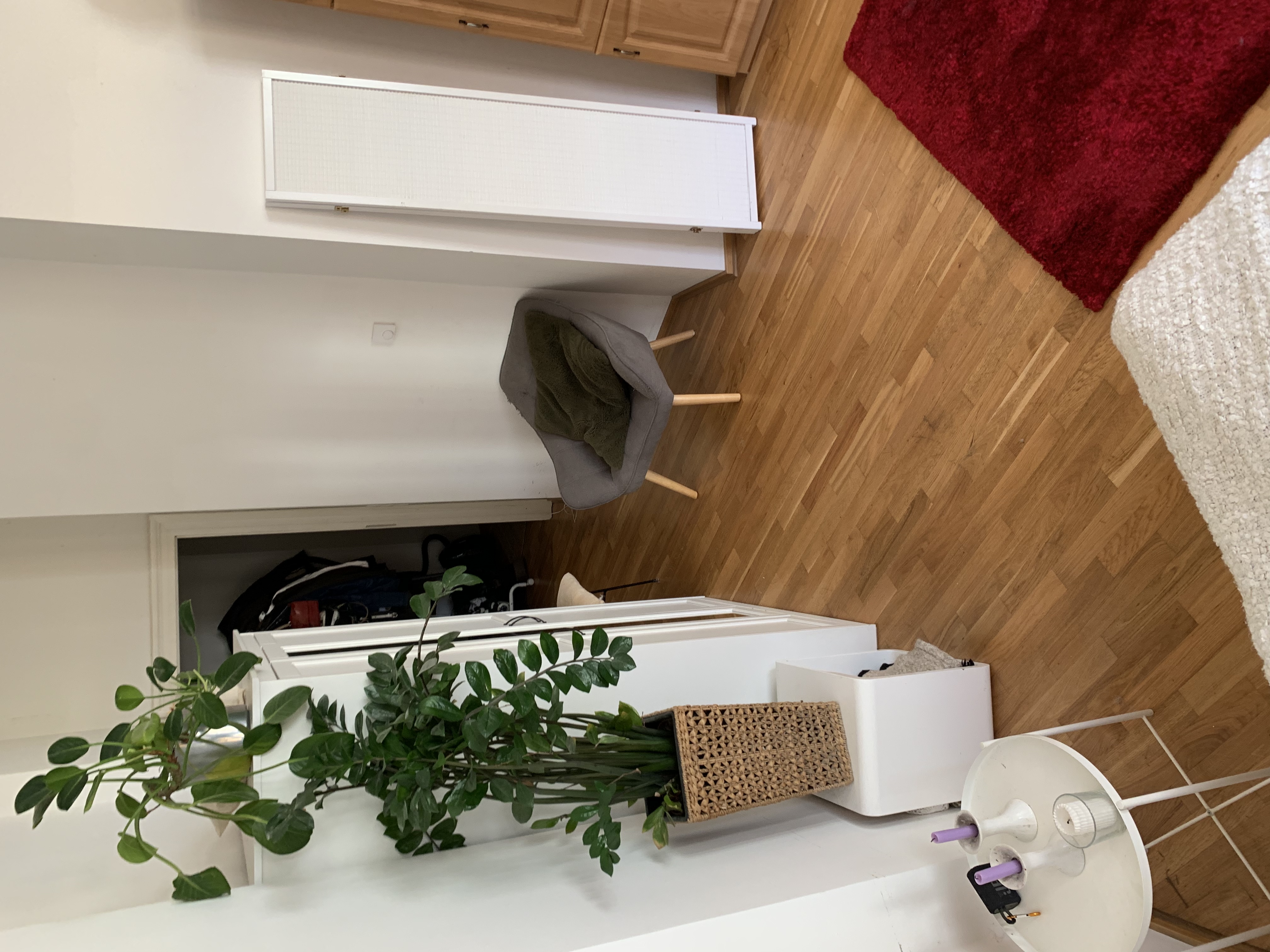 image-10