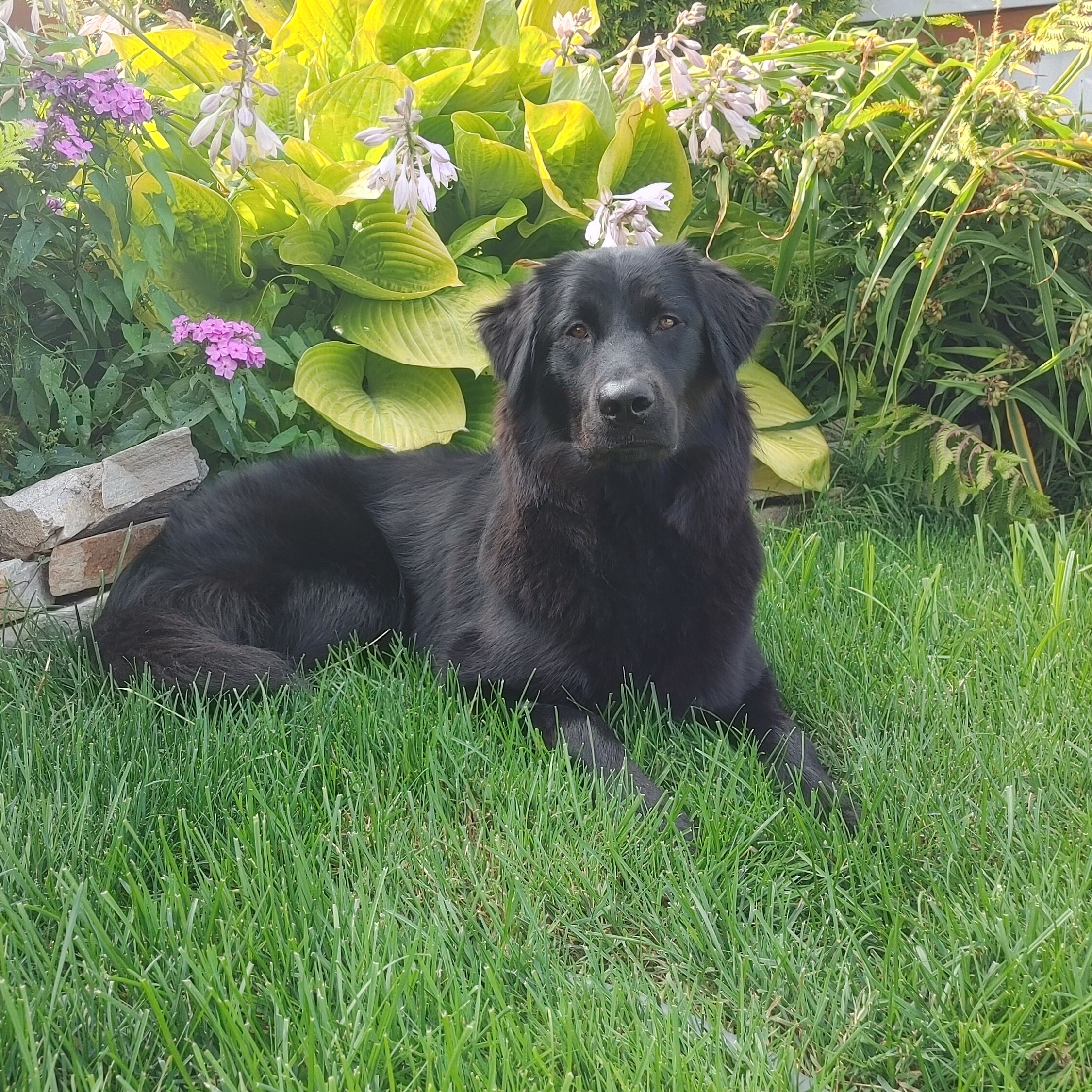 Luna
